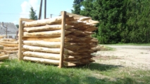 Leseni koli iz akacijevega lesa