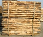 Leseni koli iz kostanjevega lesa